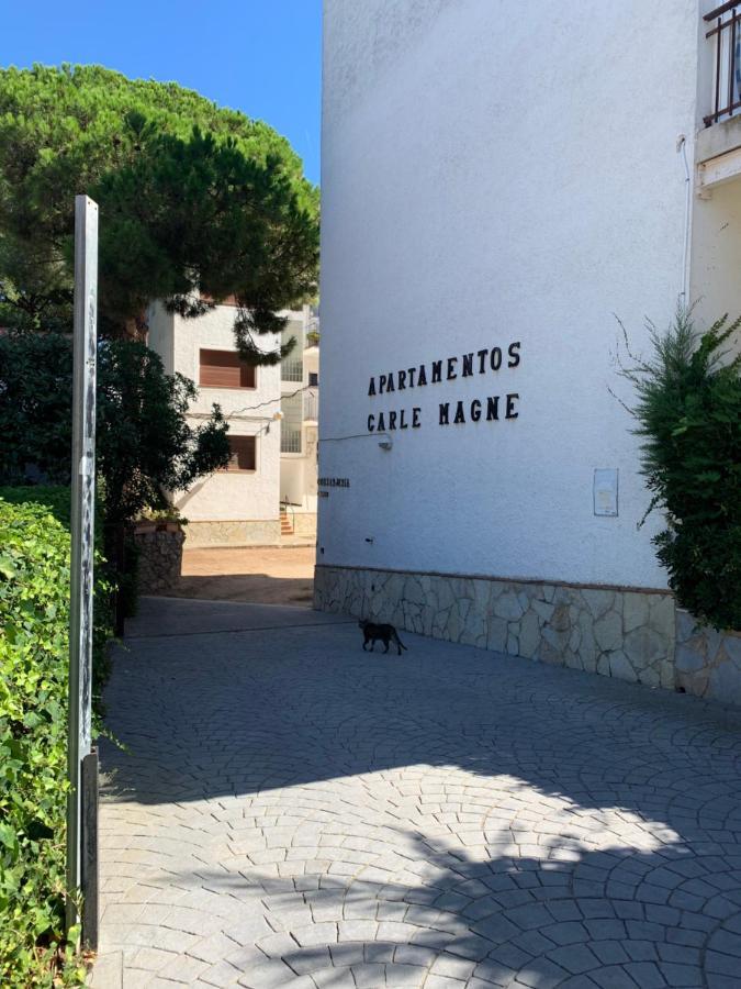 Casa Anna - Climatise, 2 Chambres, 50 M Plage, Terrasse 16M2, Wifi 普拉加德阿罗 外观 照片