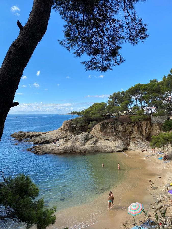 Casa Anna - Climatise, 2 Chambres, 50 M Plage, Terrasse 16M2, Wifi 普拉加德阿罗 外观 照片