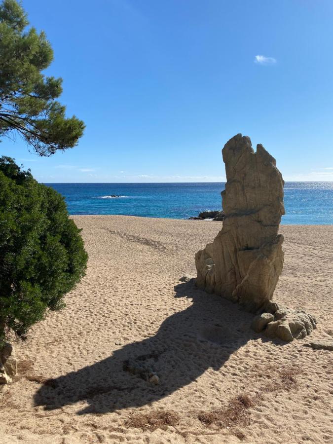 Casa Anna - Climatise, 2 Chambres, 50 M Plage, Terrasse 16M2, Wifi 普拉加德阿罗 外观 照片